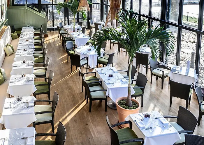 The Бристоль